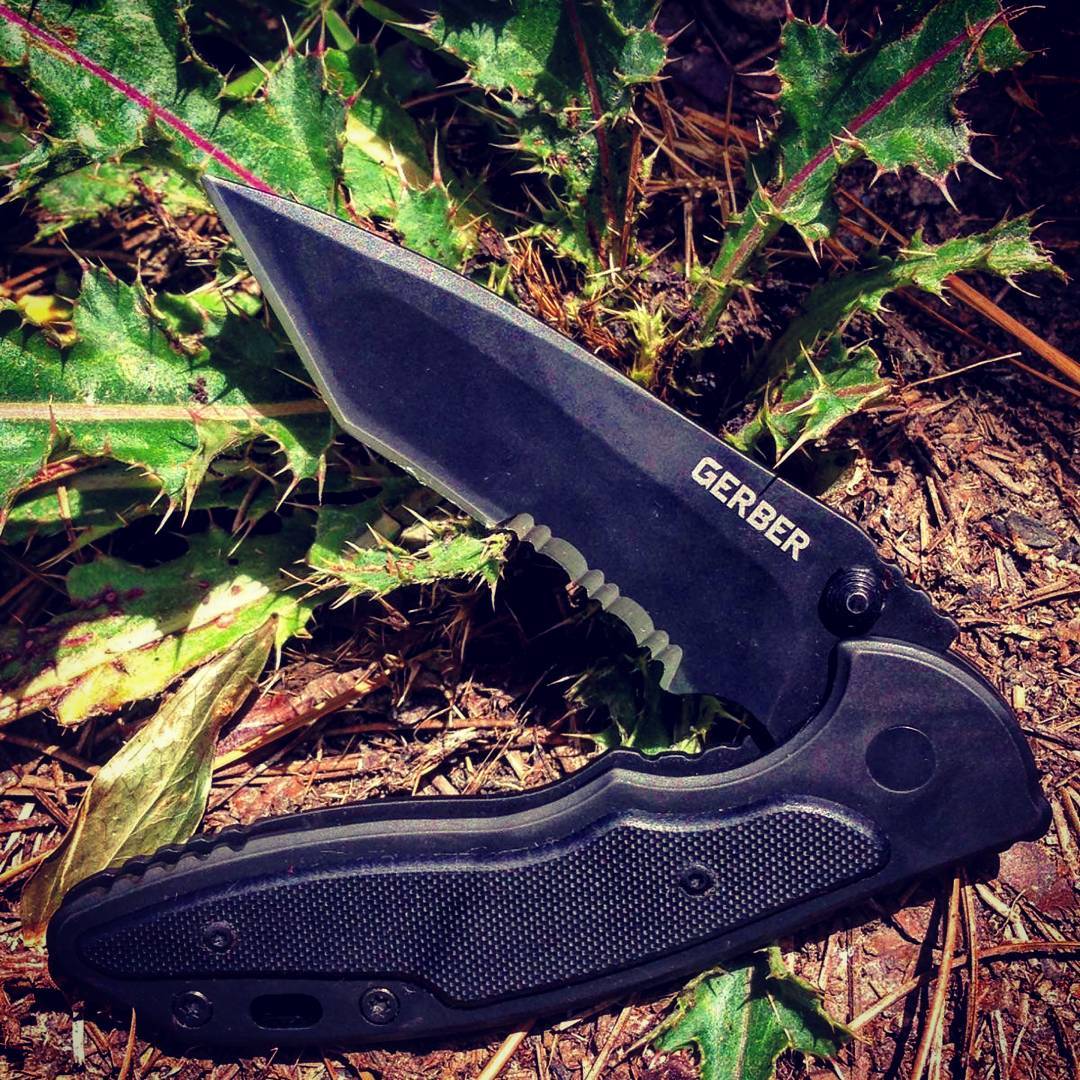 pocket clip, tanto blade, partially serrated edge... just to name a few reasons why YOU need to buy this must have Gerber Torch II 
#Gerber #AllBlack #FrameLockSafetyFunction #LanyardHole #FingerFlip #ThumbstudOpening #GerberGear #Tactical #GerberTools #GerberKnives #Knife #PocketClip #TantoBlade #Serrated #ClipFoldingKnife #22-41586